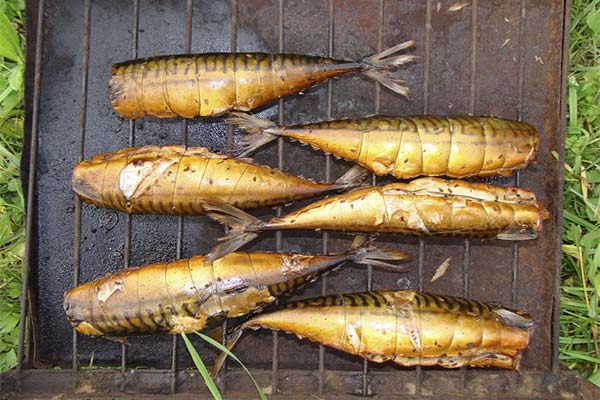 魚の燻製の作り方