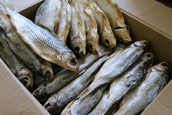Storing Fish in a Box