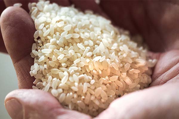 Signs of Spoiled Rice