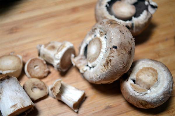 How to tell if mushrooms have gone bad