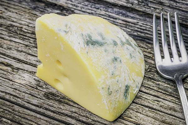 How to tell if a semi-hard cheese has gone bad