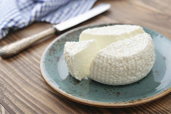 What is ricotta cheese good for?