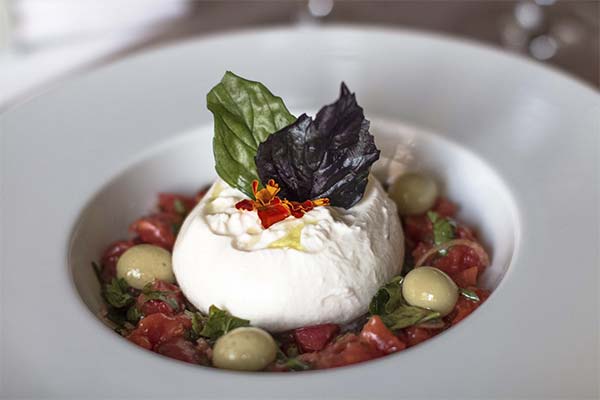 What you can make with burrata