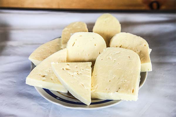 Suluguni Cheese