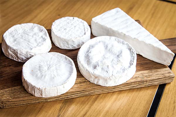 What is the difference between brie and camembert