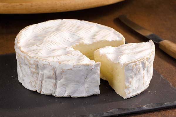 What is the usefulness of white mold camembert cheese