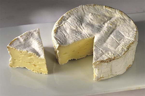 How to make Camembert cheese