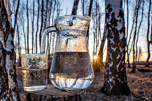 Useful properties and composition of birch juice