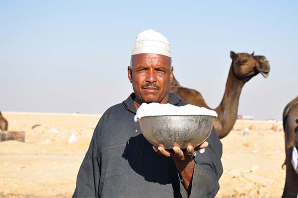 What is camel milk good for?