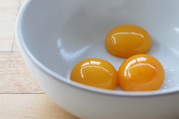 هل من الممكن إعطاء البيض النيئ للحيوانات