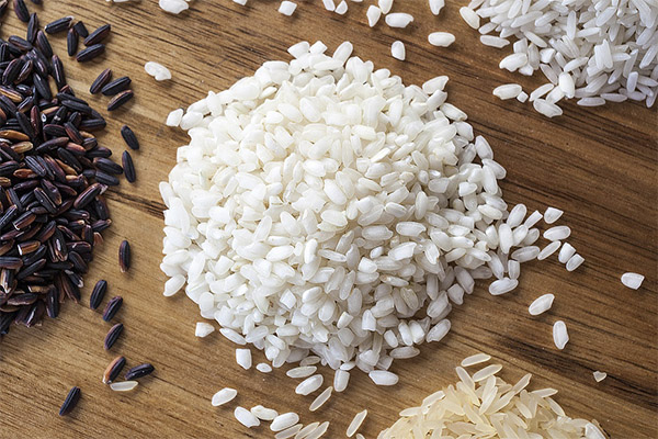 حقائق مثيرة للاهتمام حول الأرز
