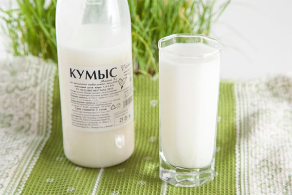 אילו מוצרי חלב אסור וצריכים לצרוך בסוכרת