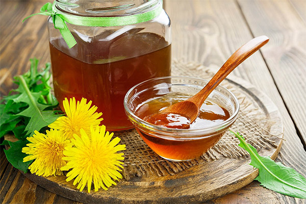 كيفية تناول العسل من الهندباء