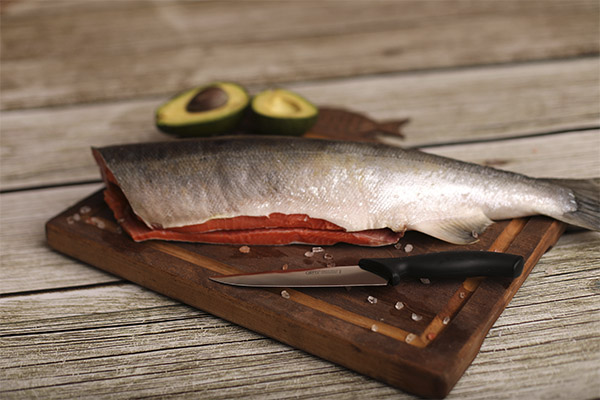 ما يمكن طهيه من سمك السلمون كوهو